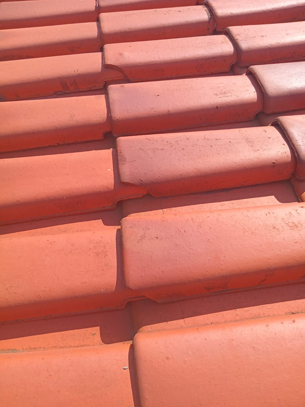 Detalhe de telhas cerâmicas vermelhas de alta qualidade